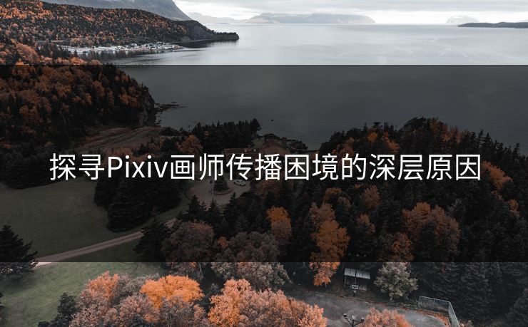 探寻Pixiv画师传播困境的深层原因 探寻Pixiv画师传播困境的深层原因