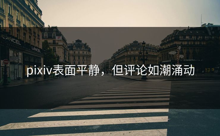 pixiv表面平静,但评论如潮涌动 pixiv表面平静,但评论如潮涌动